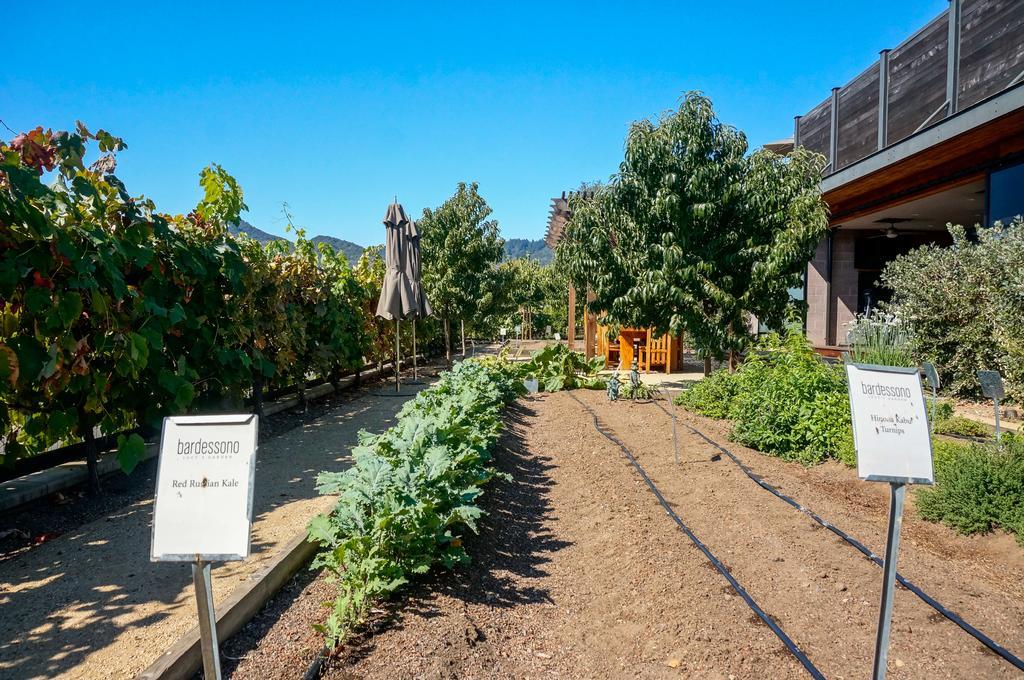 Bardessono And Hotel Yountville